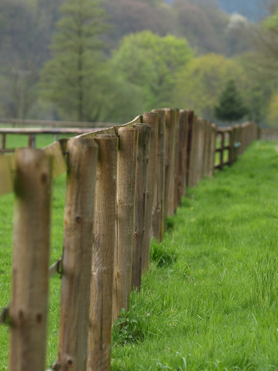 fence wood fence limit free photo