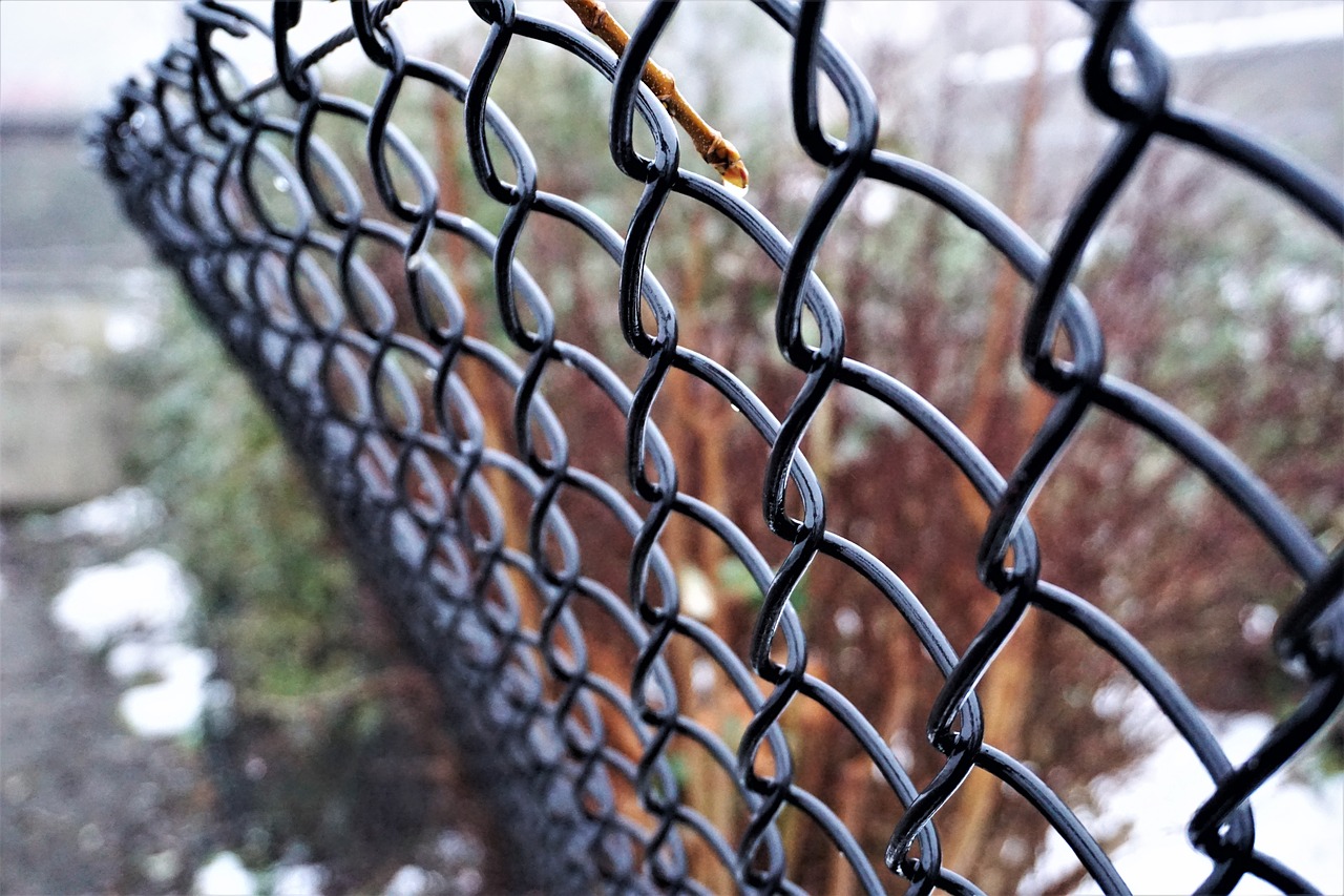 fence iron cage free photo