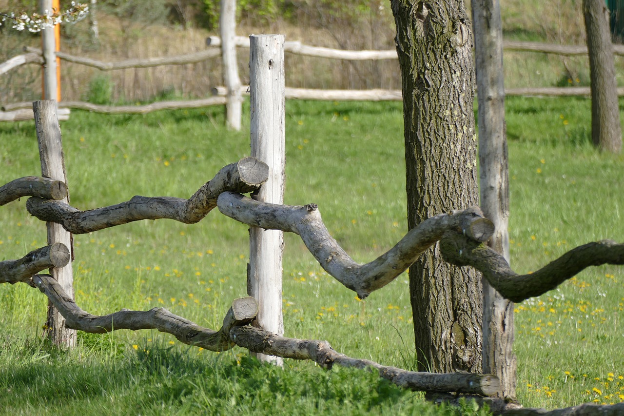 fence nature tree free photo