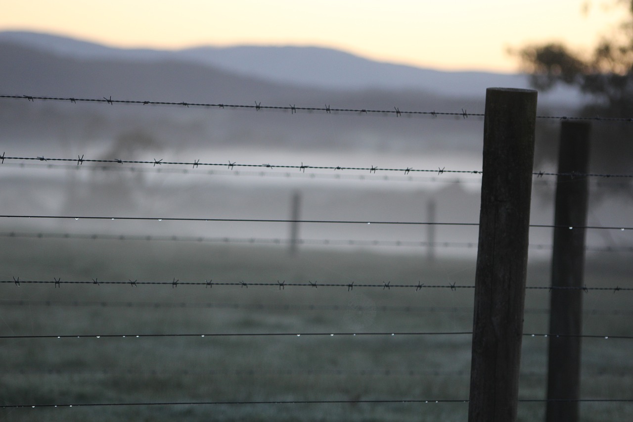 fence winter morning frost free photo