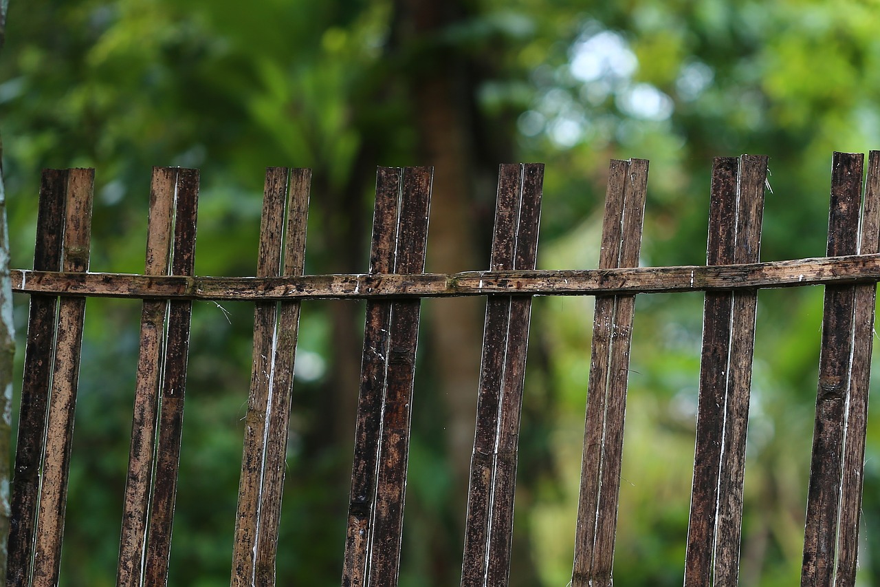 fence outdoors wood free photo