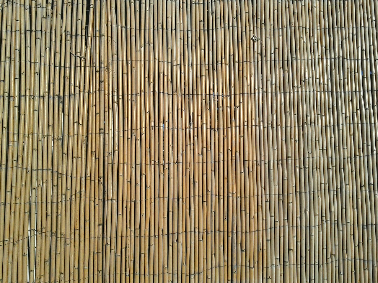 bamboo fence natural free photo