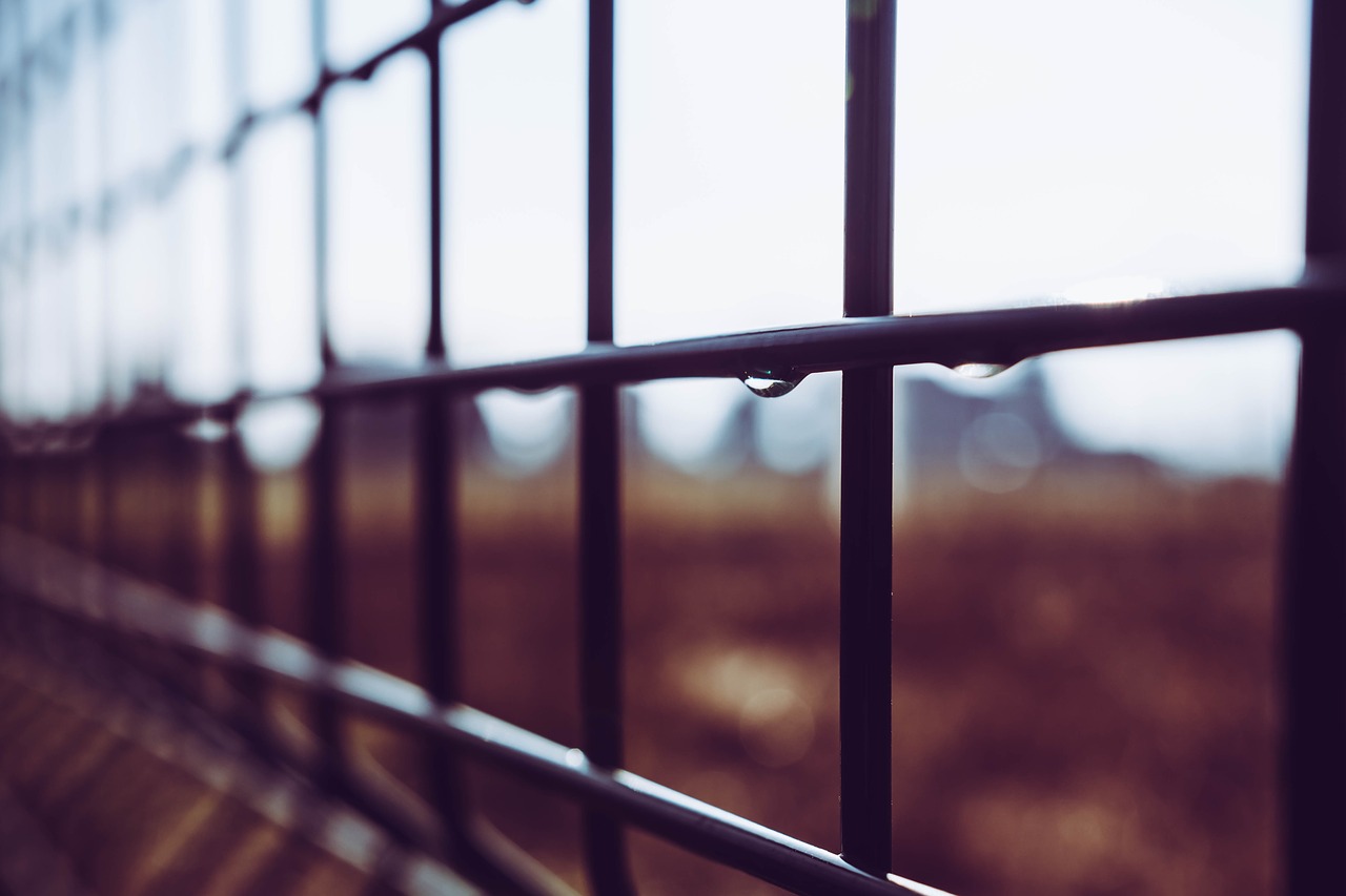 fence  outdoors  sky free photo