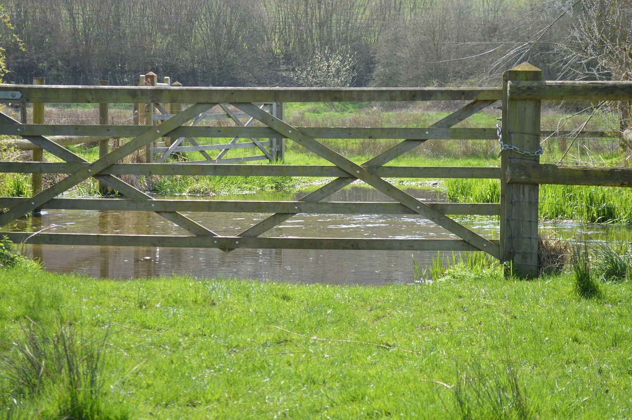 fence  grass  nature free photo