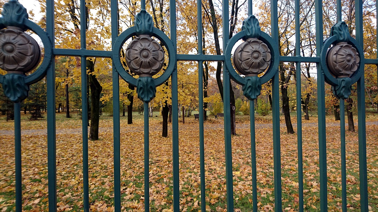 fence  iron  autumn free photo