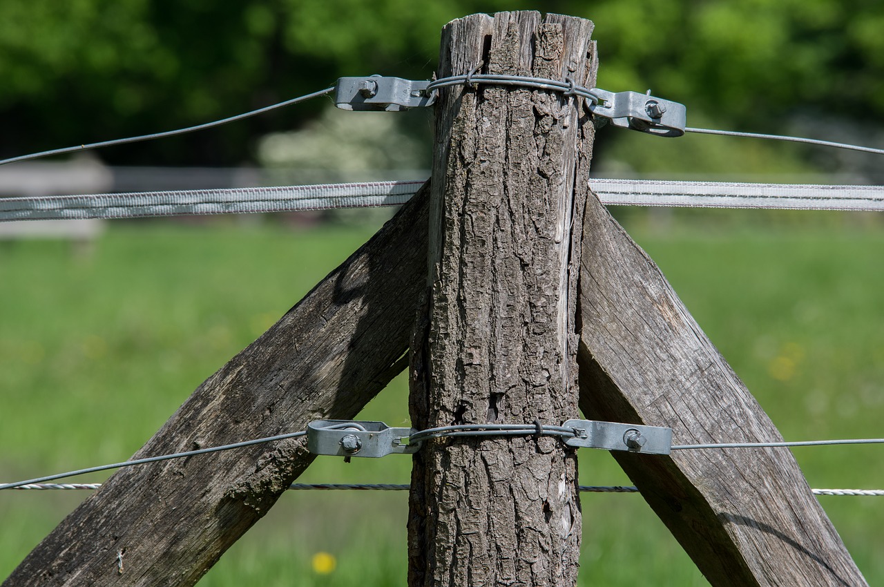 fence  wood  nature free photo