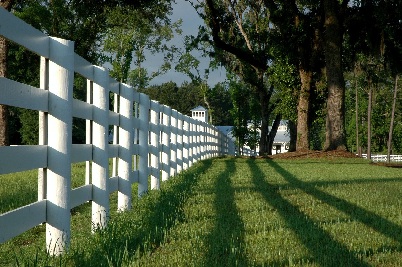 fence  horse farm  pasture free photo