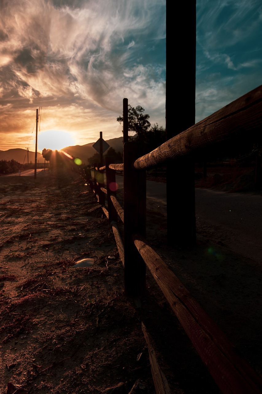 fence  road walk  sunset free photo