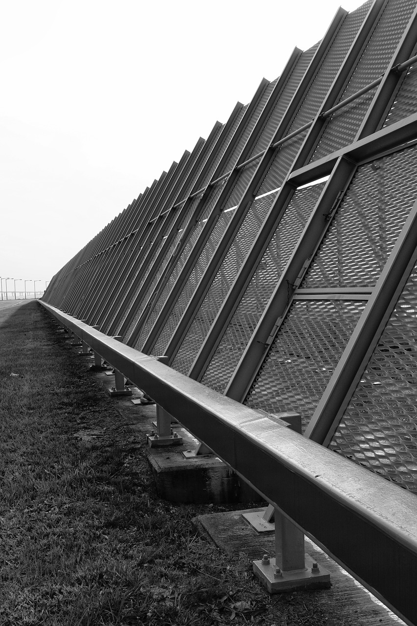 fence  black and white  security free photo