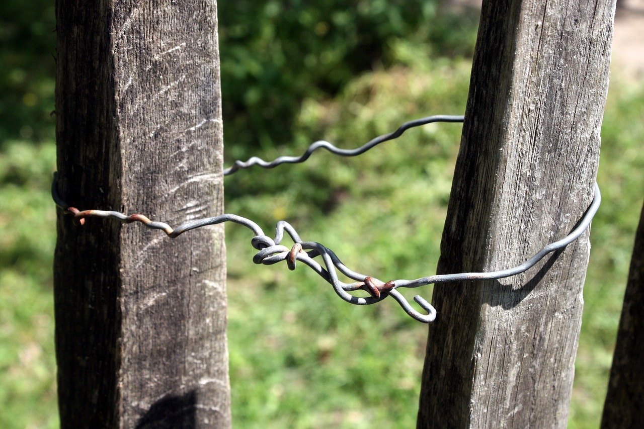 fence  detail  village free photo