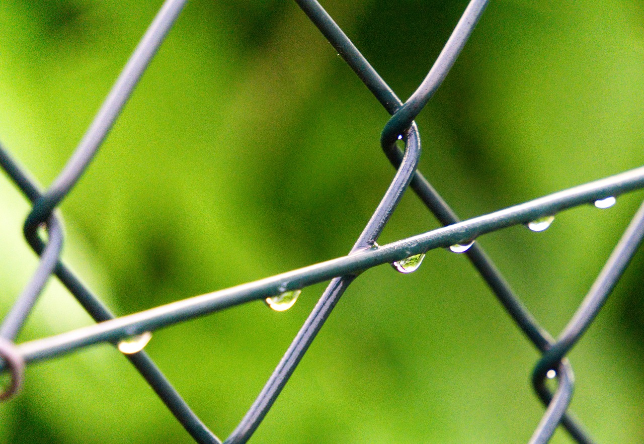 fence  drop of water  wire free photo