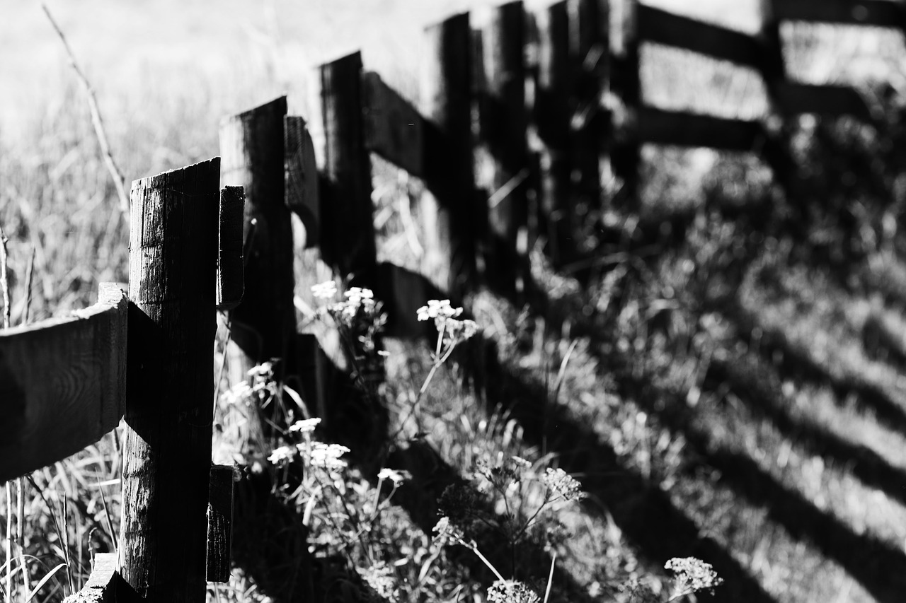 fence  field  nature free photo