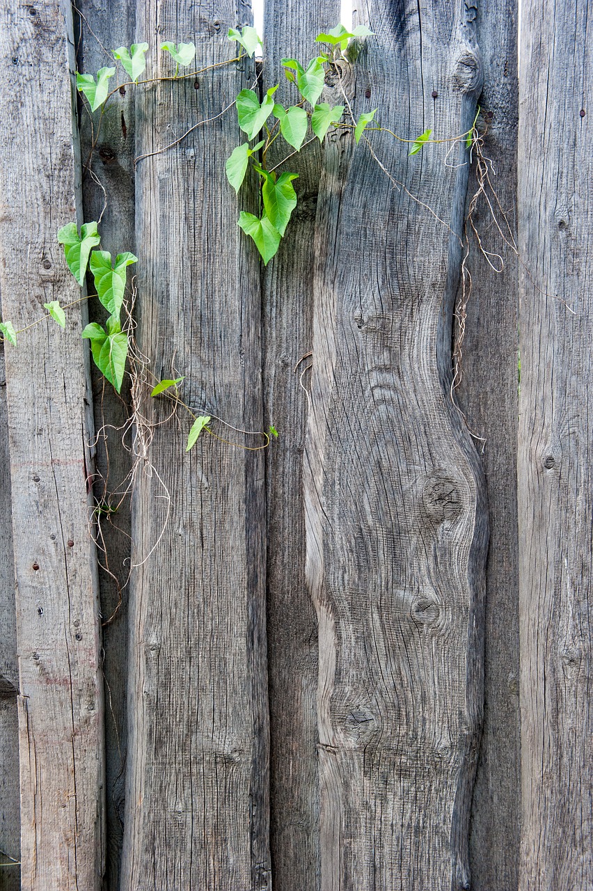 fence  texture  old free photo