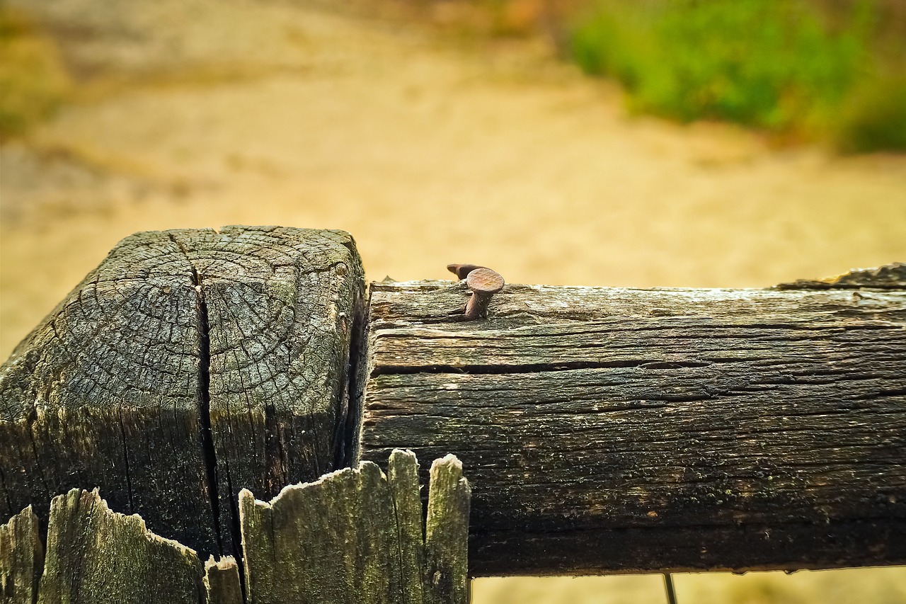 fence  wood fence  wood free photo