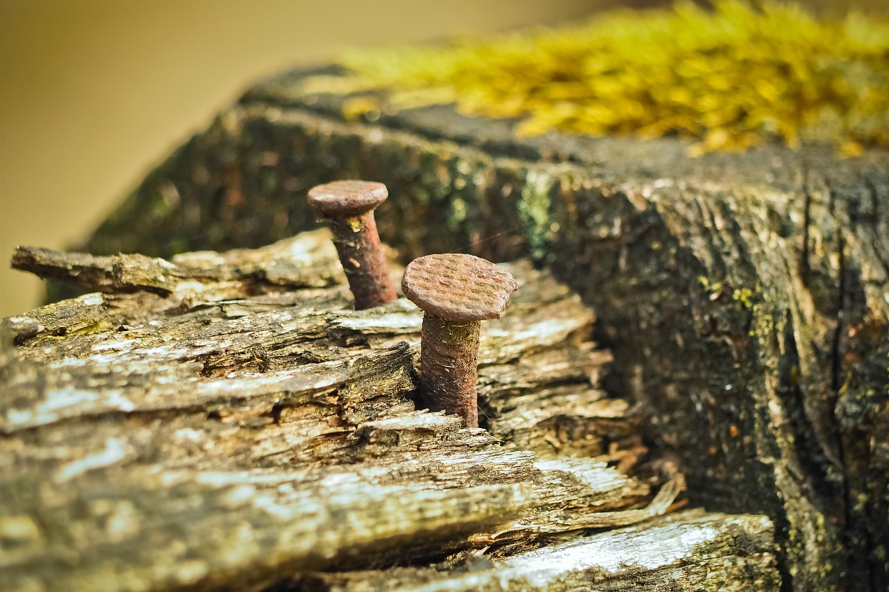 fence  wood fence  wood free photo