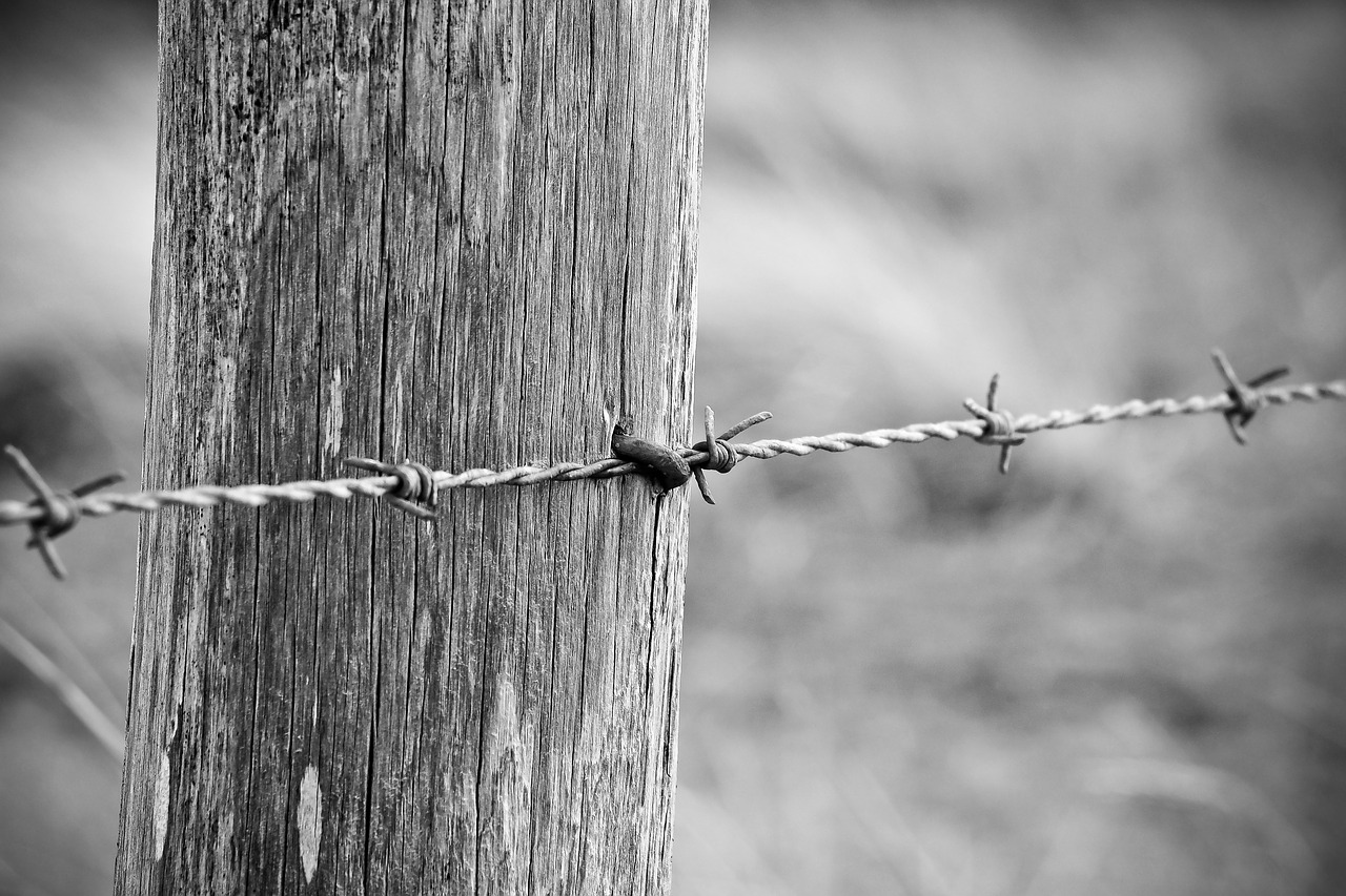 fence  wood fence  wood free photo