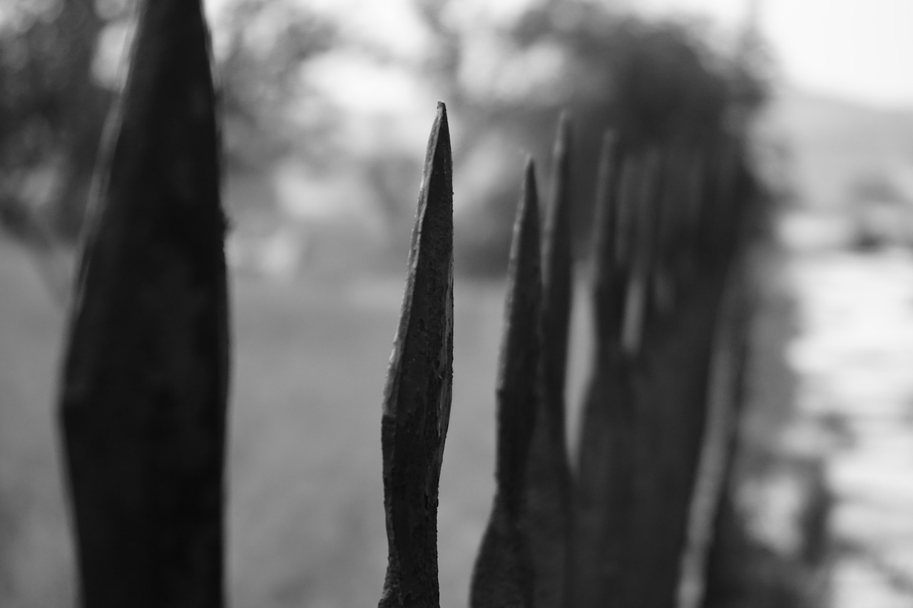 fence  fence top  metal free photo