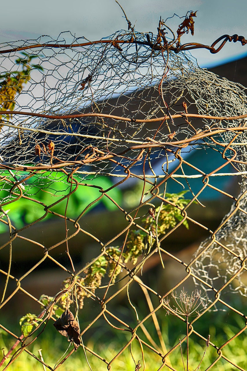 fence  wire  metal free photo