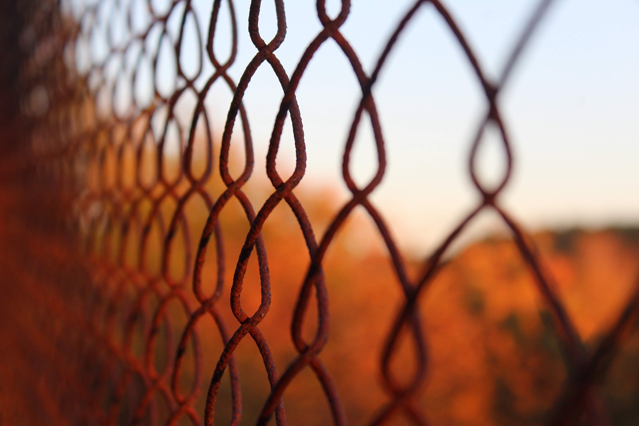 fence  metal  thread free photo