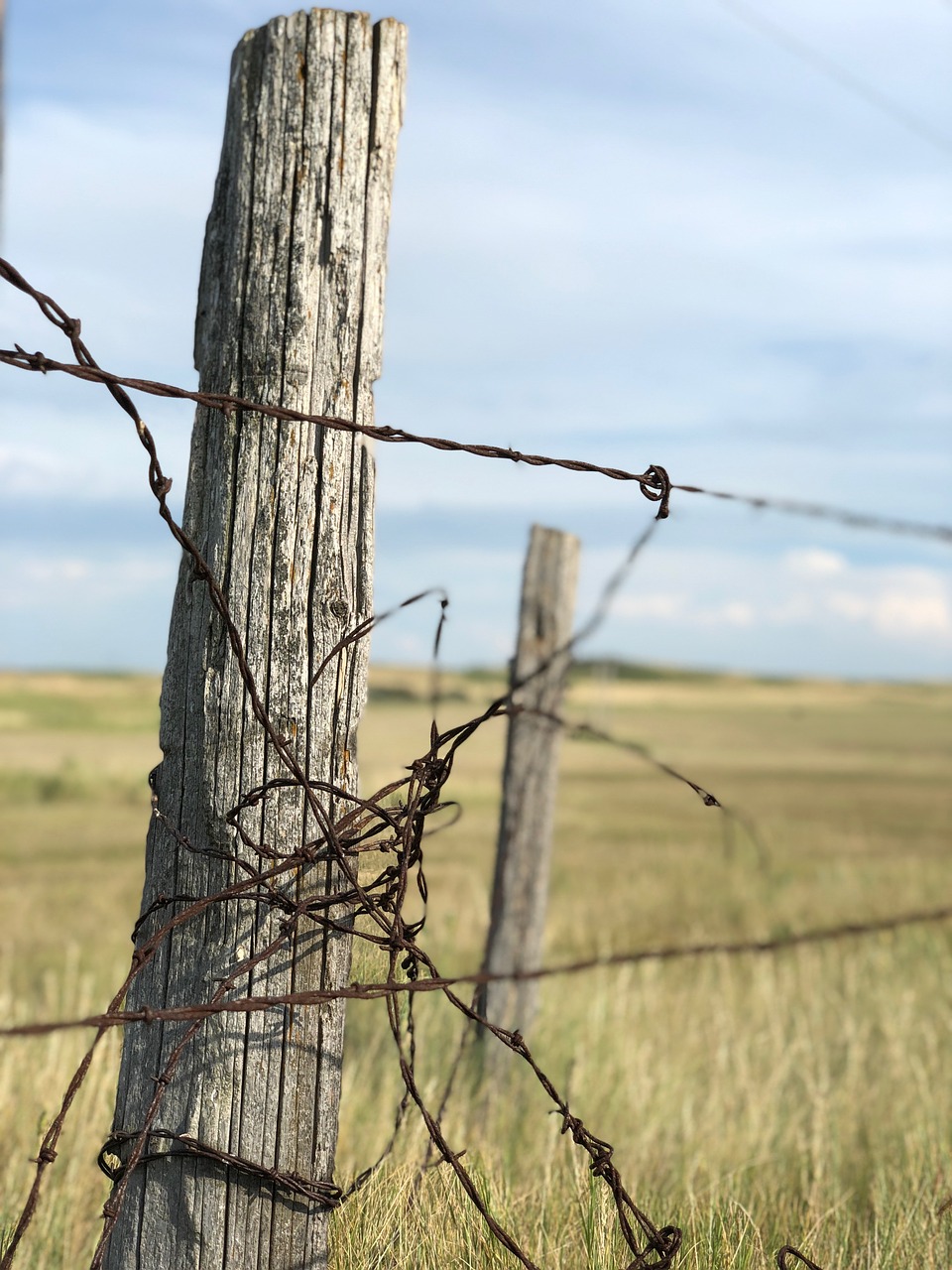 fence  post  landscape free photo