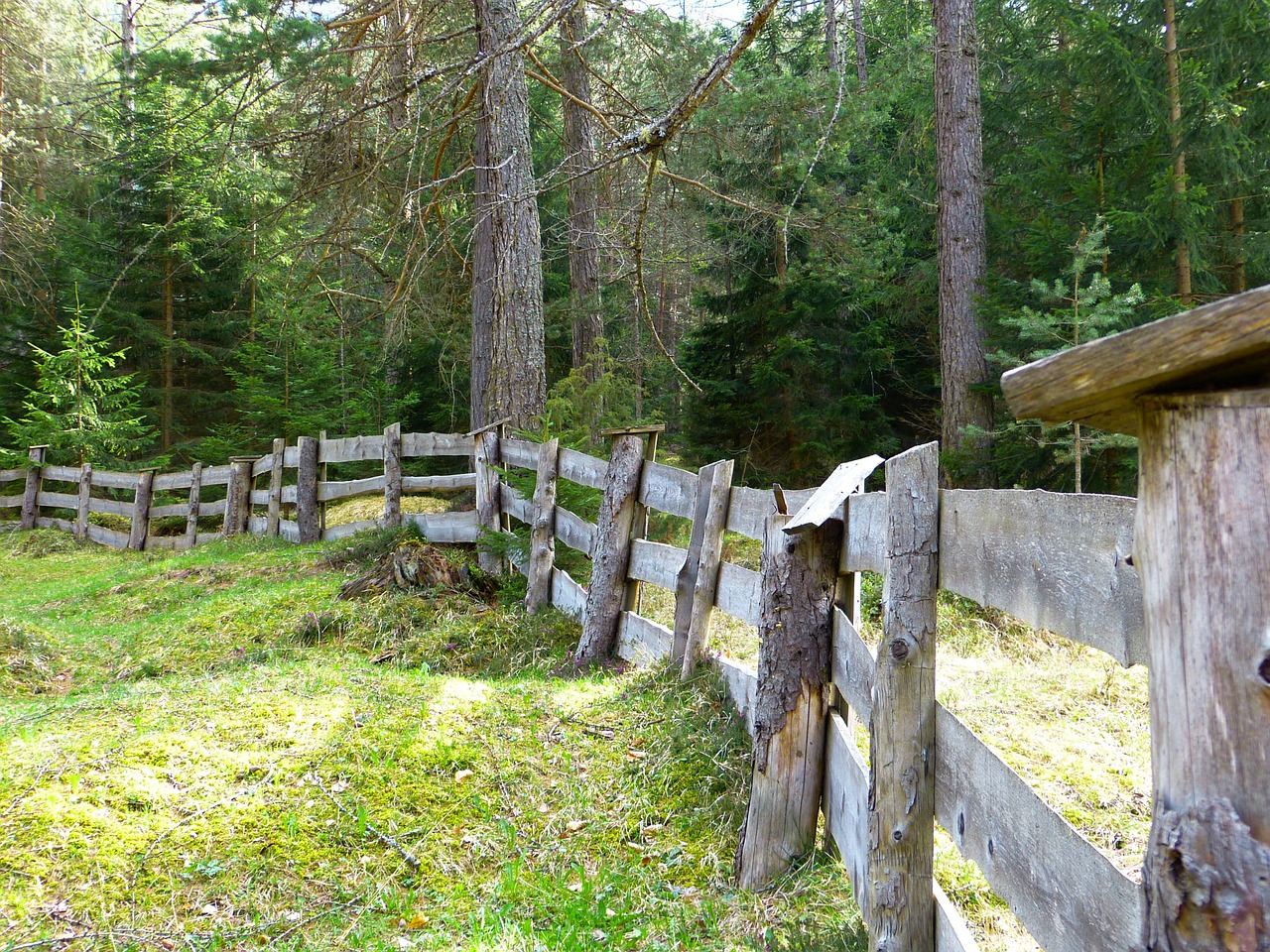 fence plank fence limit free photo