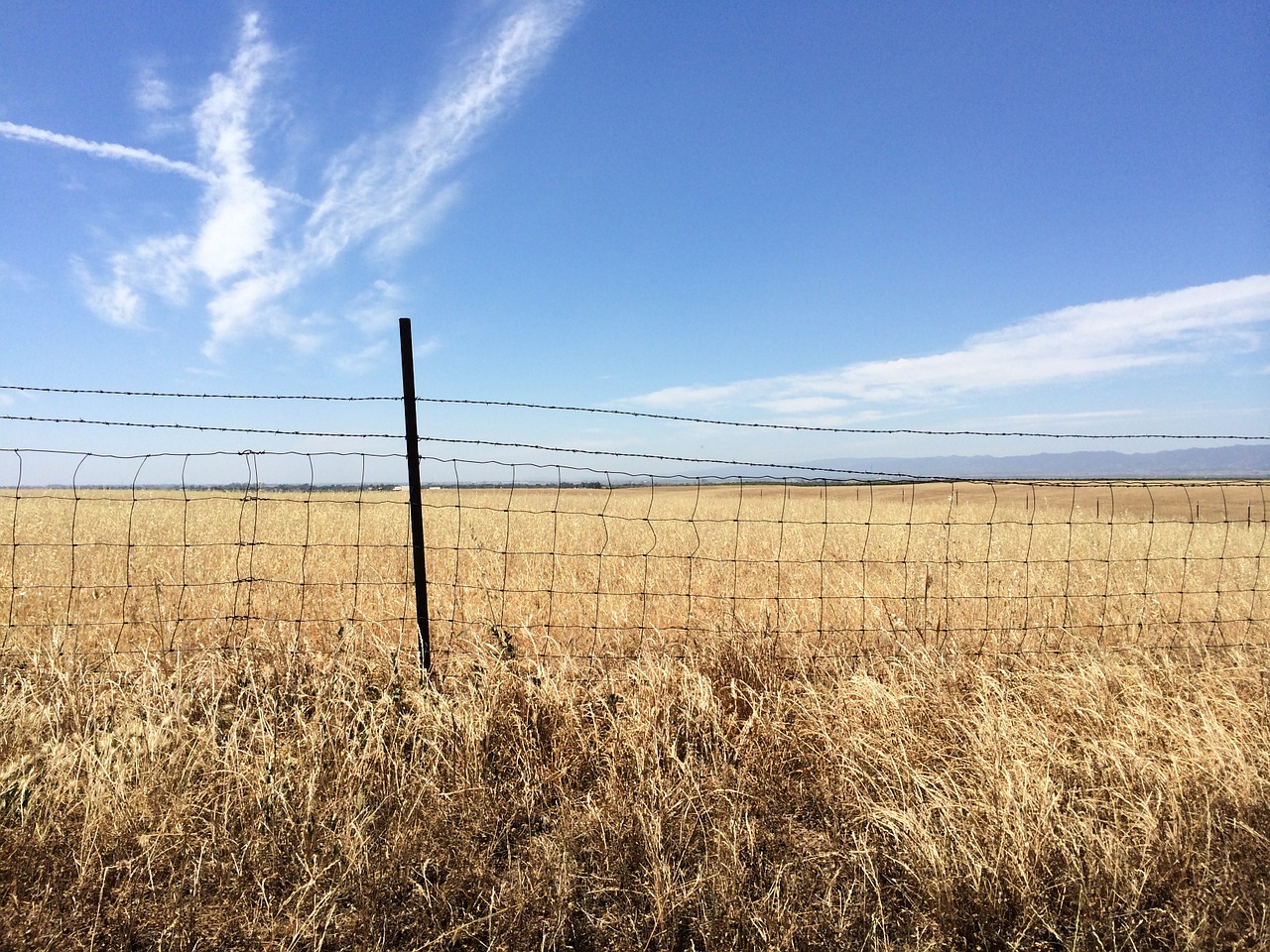 fence landscape field free photo