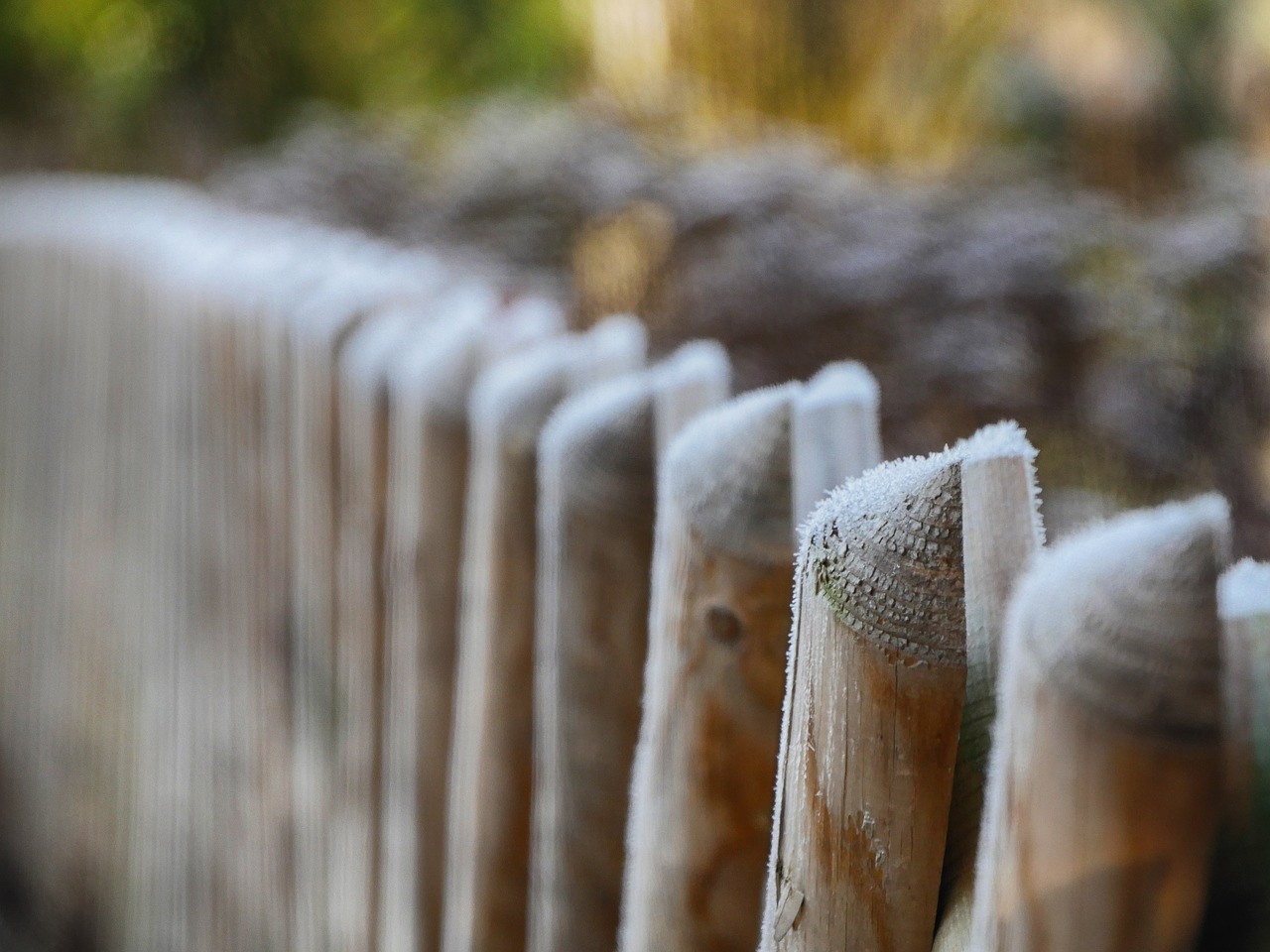 fence  ice  frost free photo