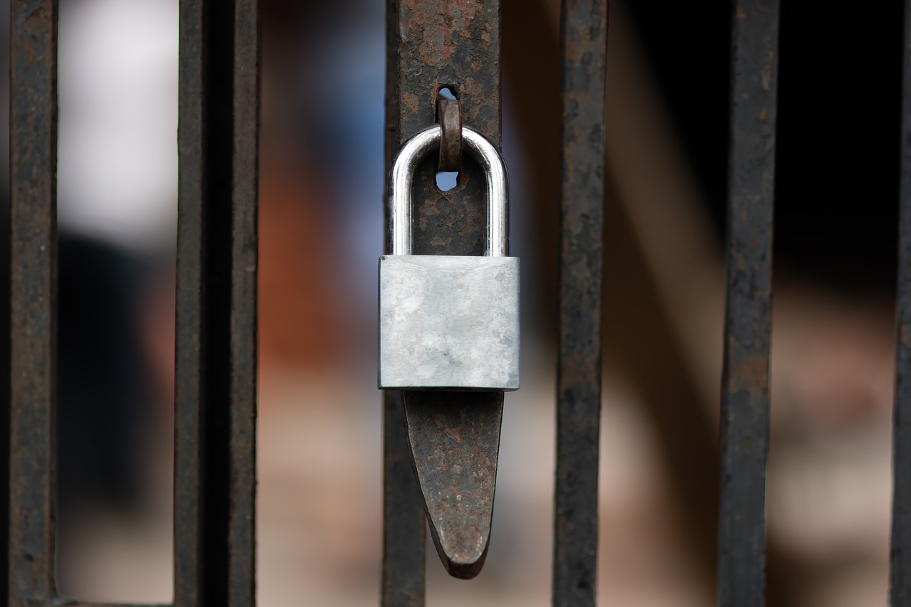 fence  lock  gate free photo