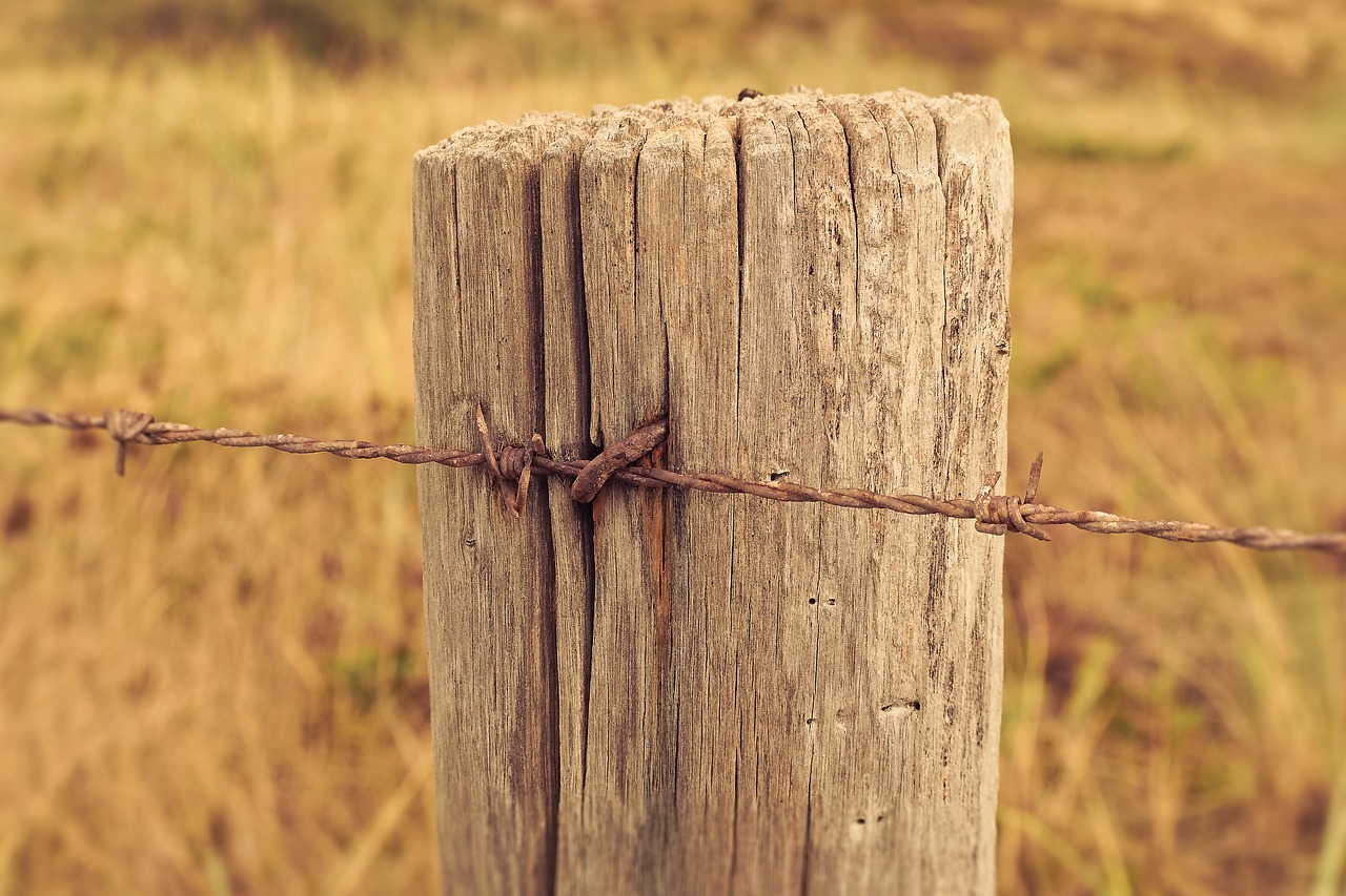 fence  wood fence  wood free photo