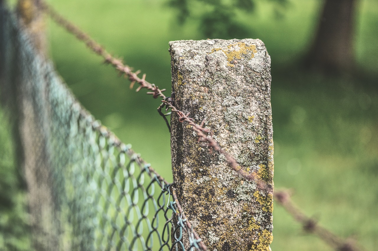 fence  barbed wire  fence post free photo