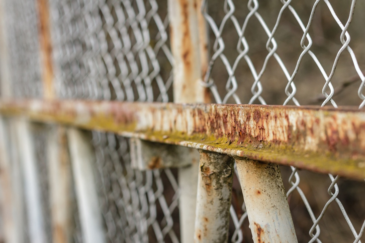 fence  wire mesh  goal free photo