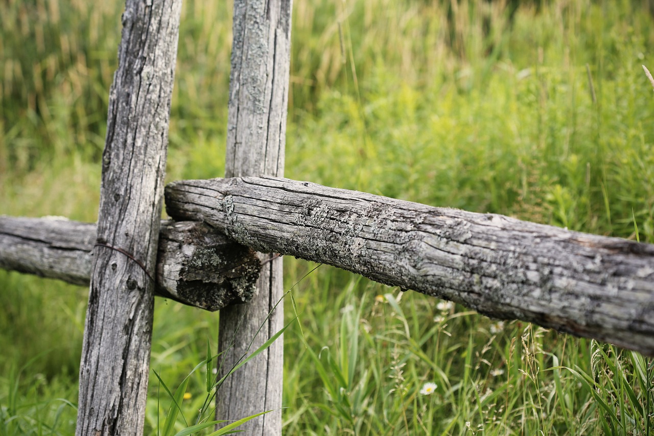 fence wooden rural free photo