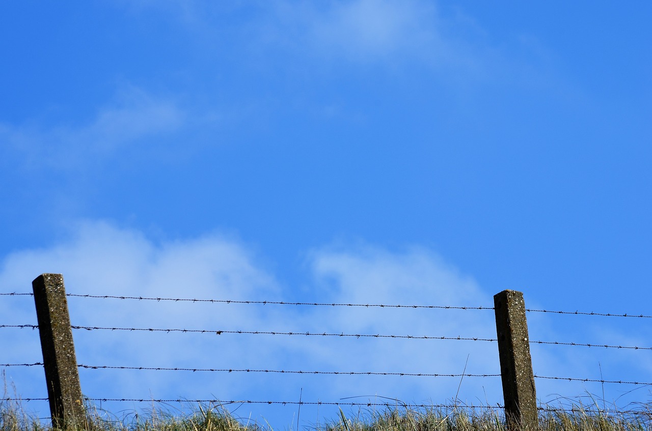 fence  sky  barbed wire free photo