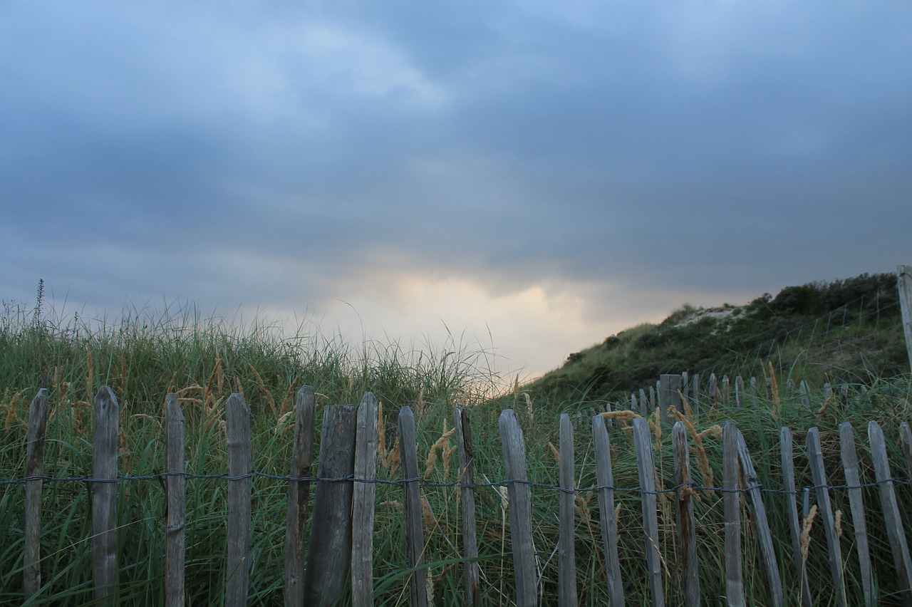 fence demarcation dunes free photo