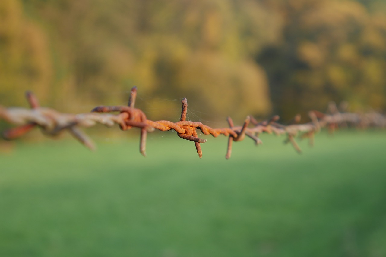 fence  barbed wire  wire free photo