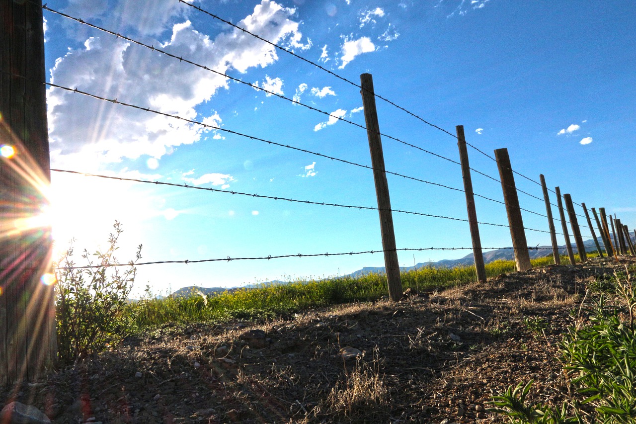 fence farm barbedwire free photo