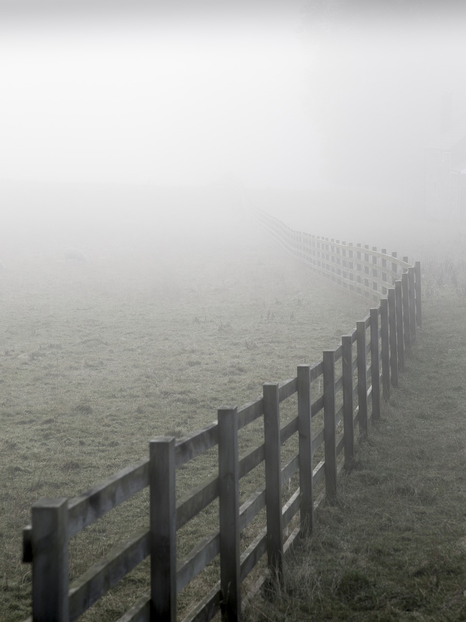 fence  mist  landscape free photo