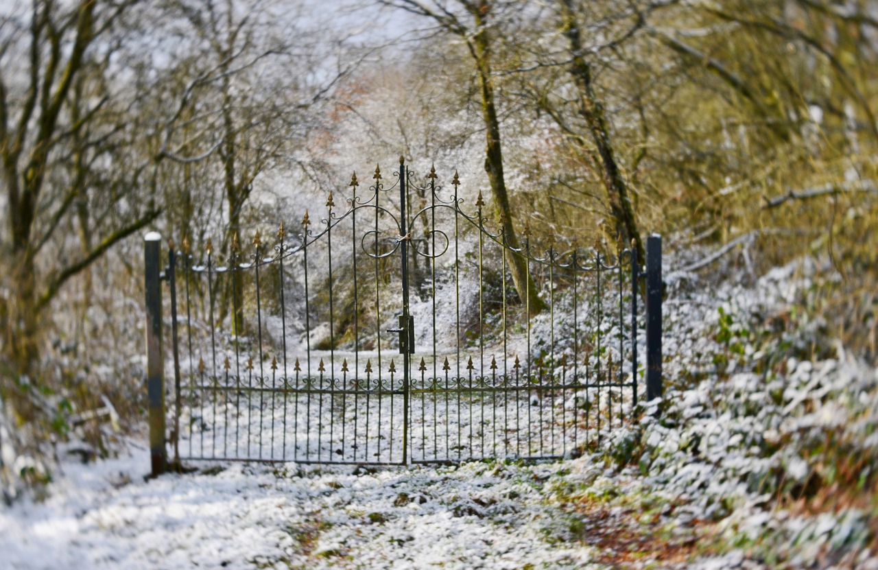 fence  fairylike  winter free photo