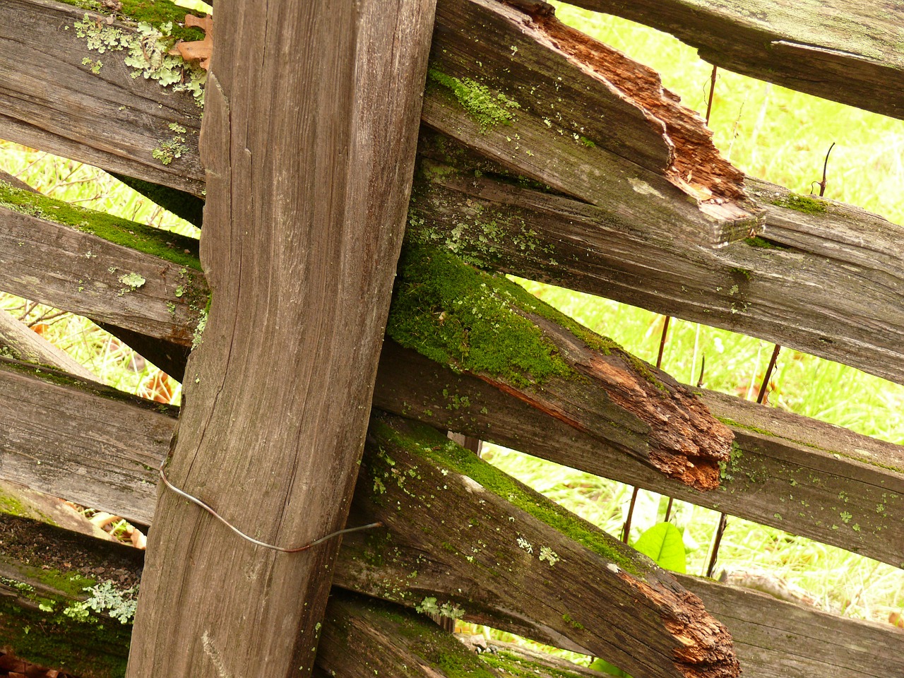 fence wood old free photo