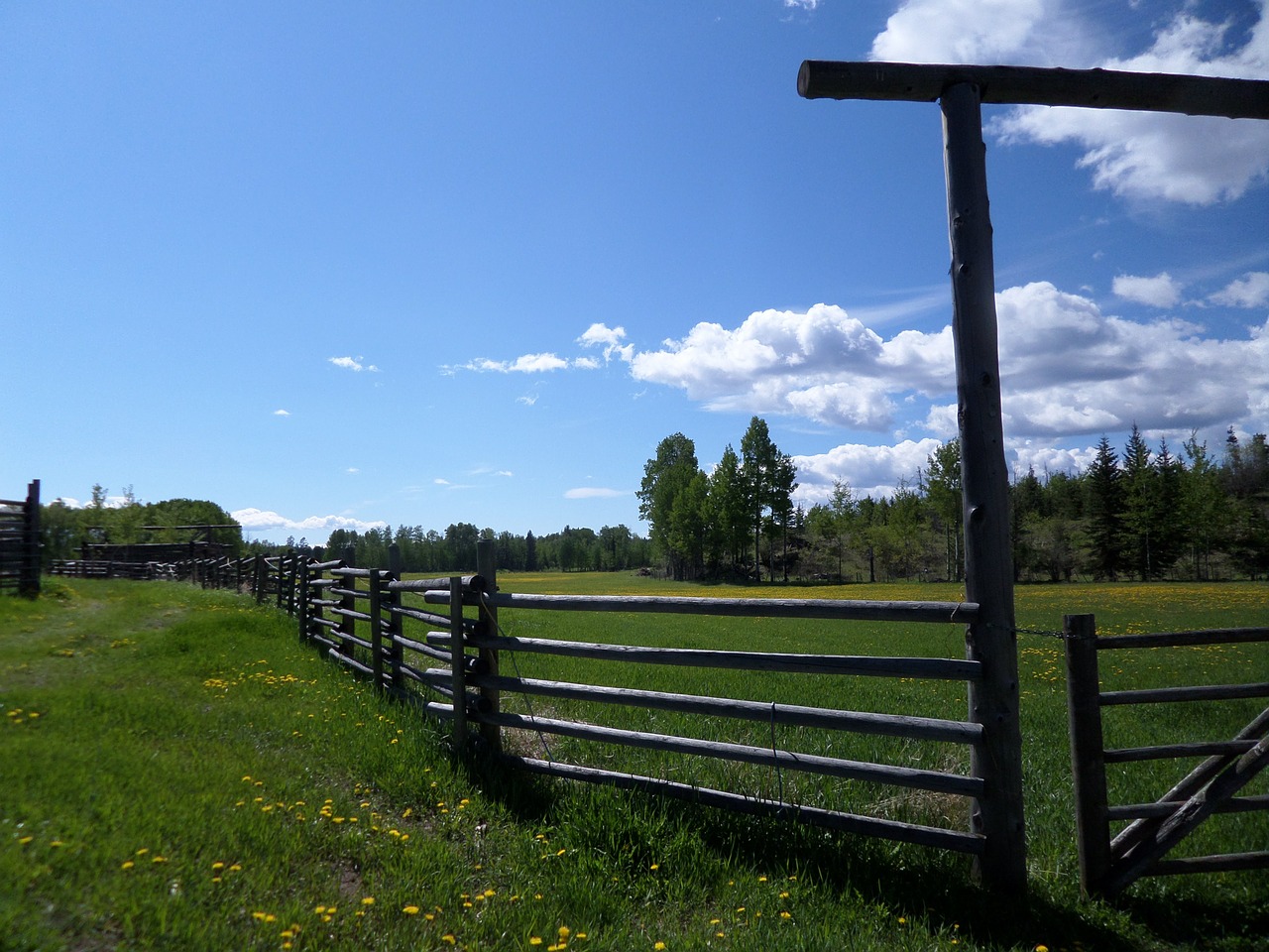 fence ranch farm free photo