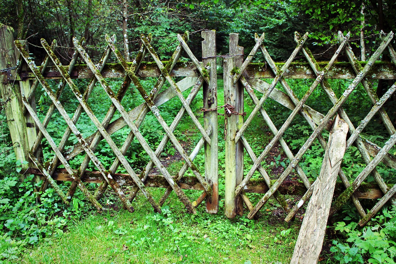 fence wood fence battens free photo