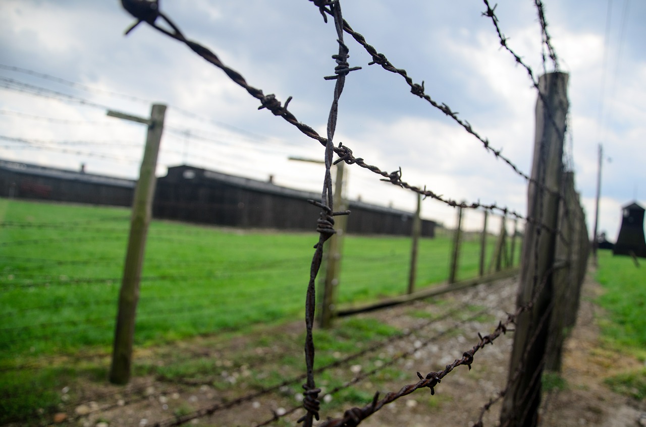 fence holocaust barbwire free photo