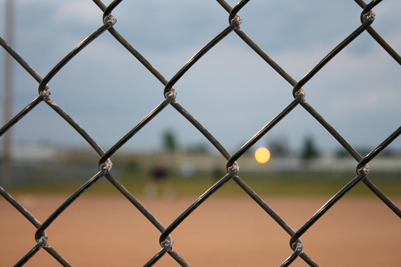 fence baseball chain free photo