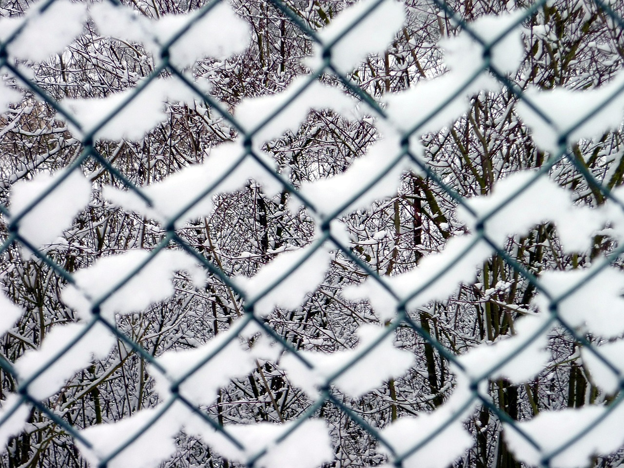 fence snow winter free photo