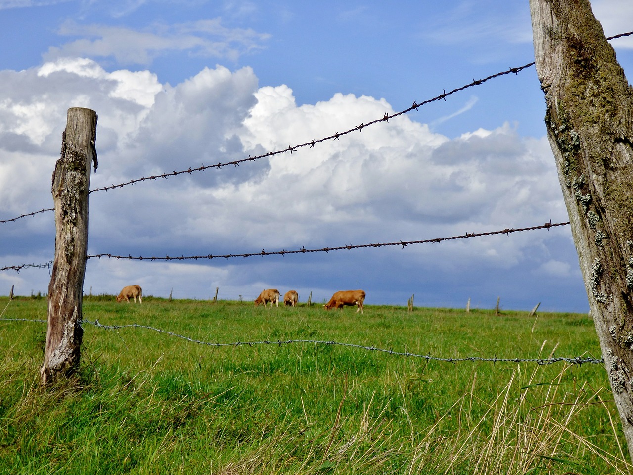 fence pasture clouds free photo