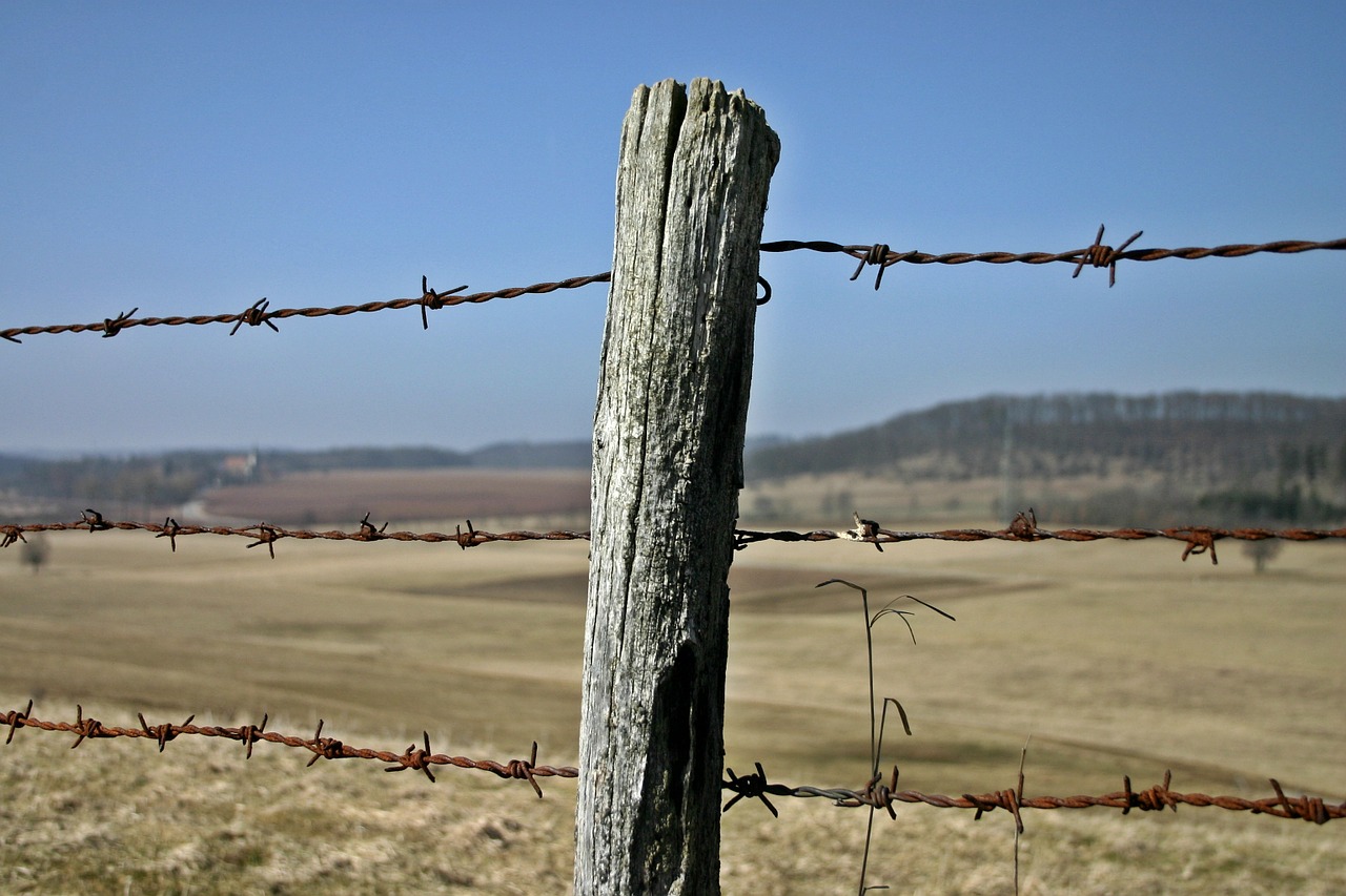fence barbed wire fence post free photo