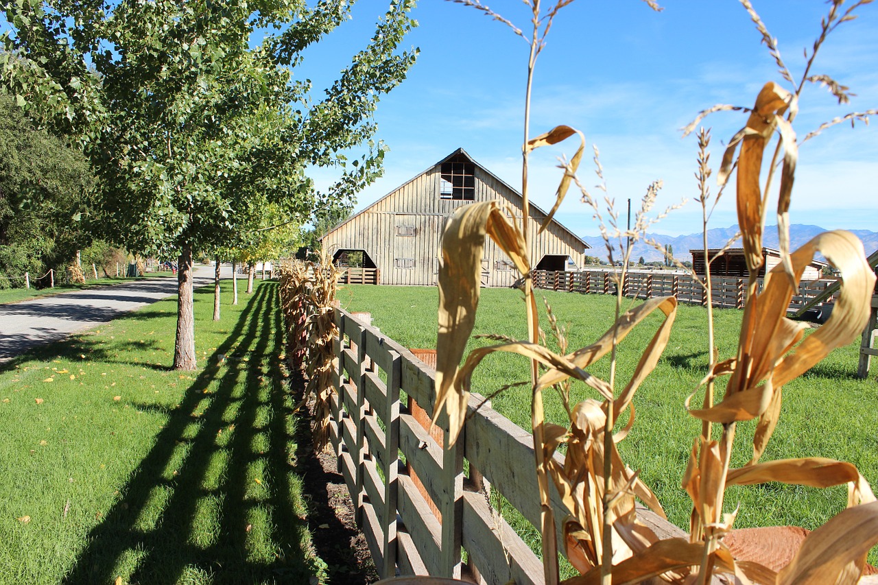 fence farm country free photo