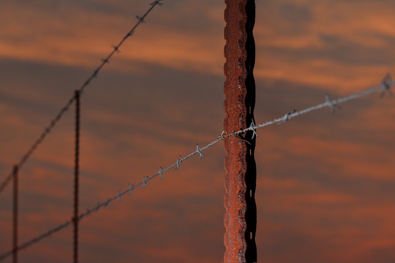 fence barbed wire fence post free photo