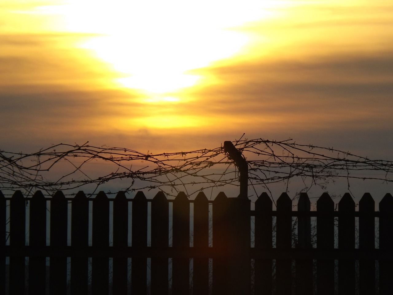 fence sun sky free photo