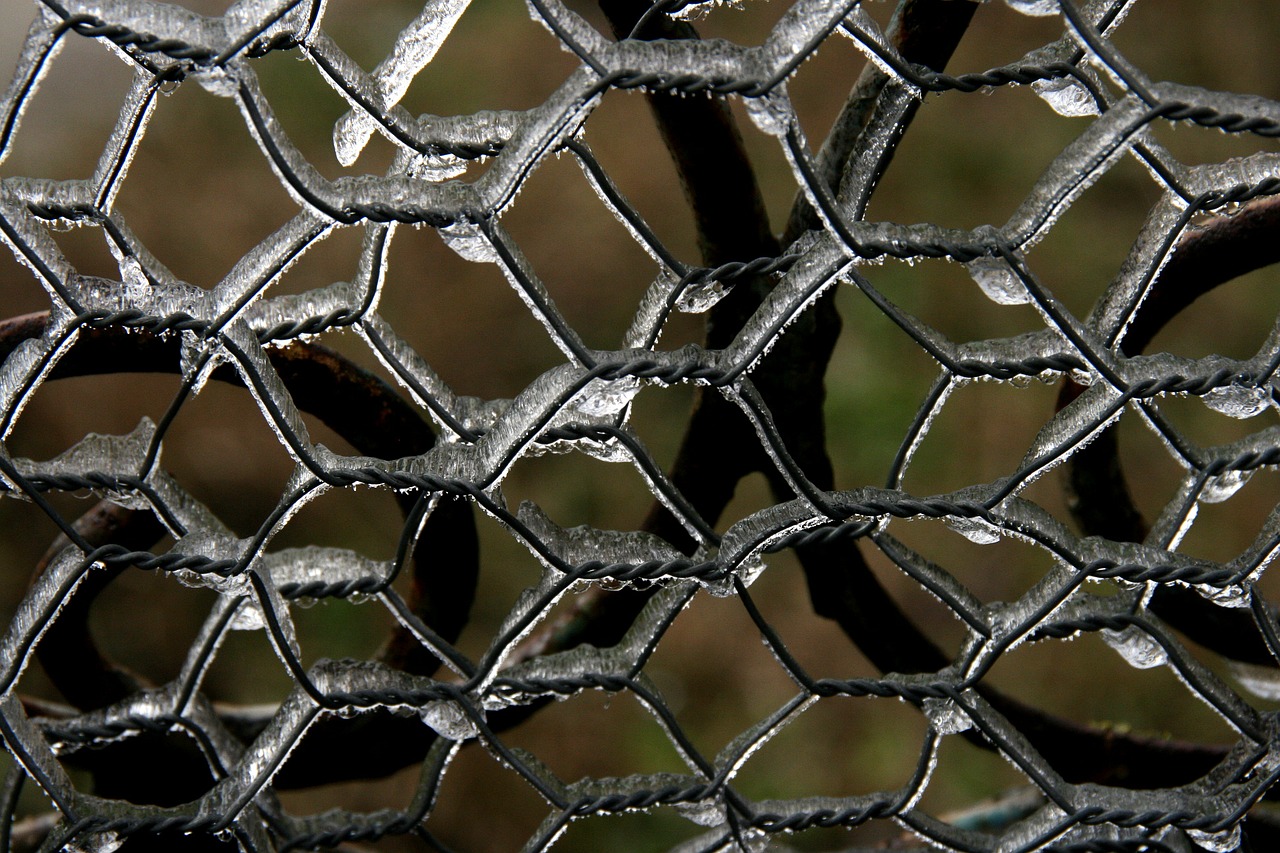 fence ice winter free photo